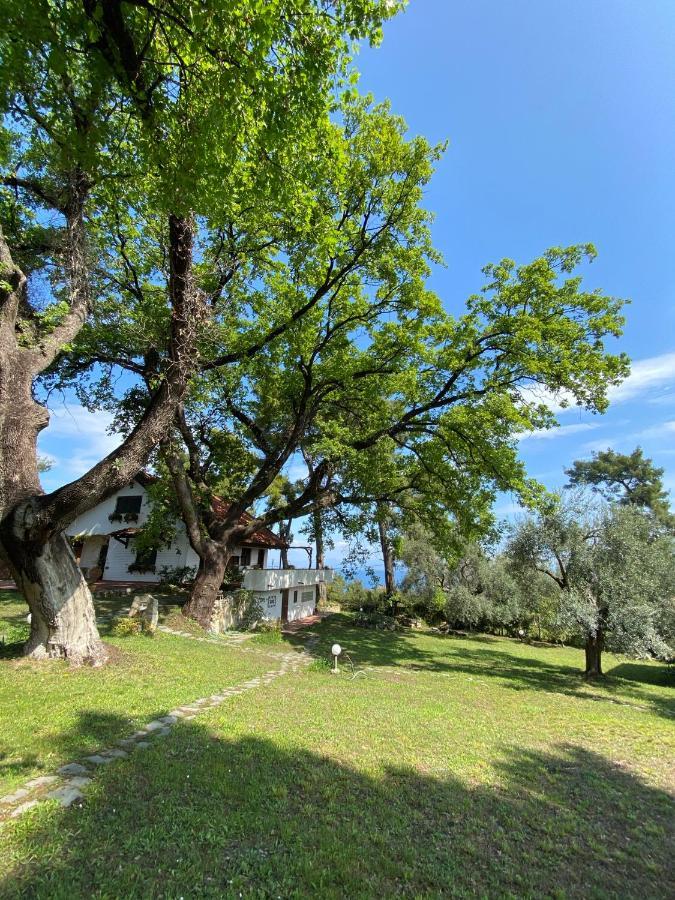 Wild Oaks Cottage Kriopigi Exteriér fotografie