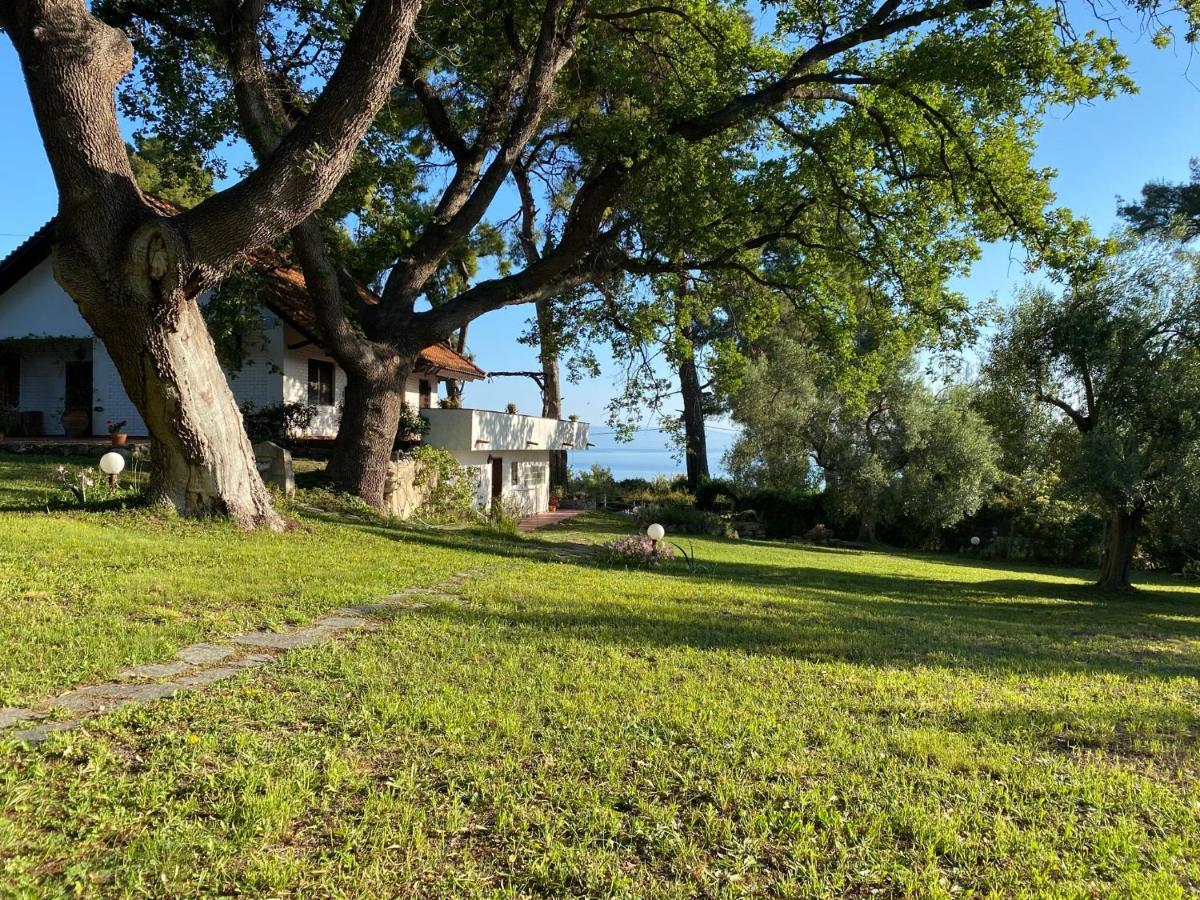 Wild Oaks Cottage Kriopigi Exteriér fotografie