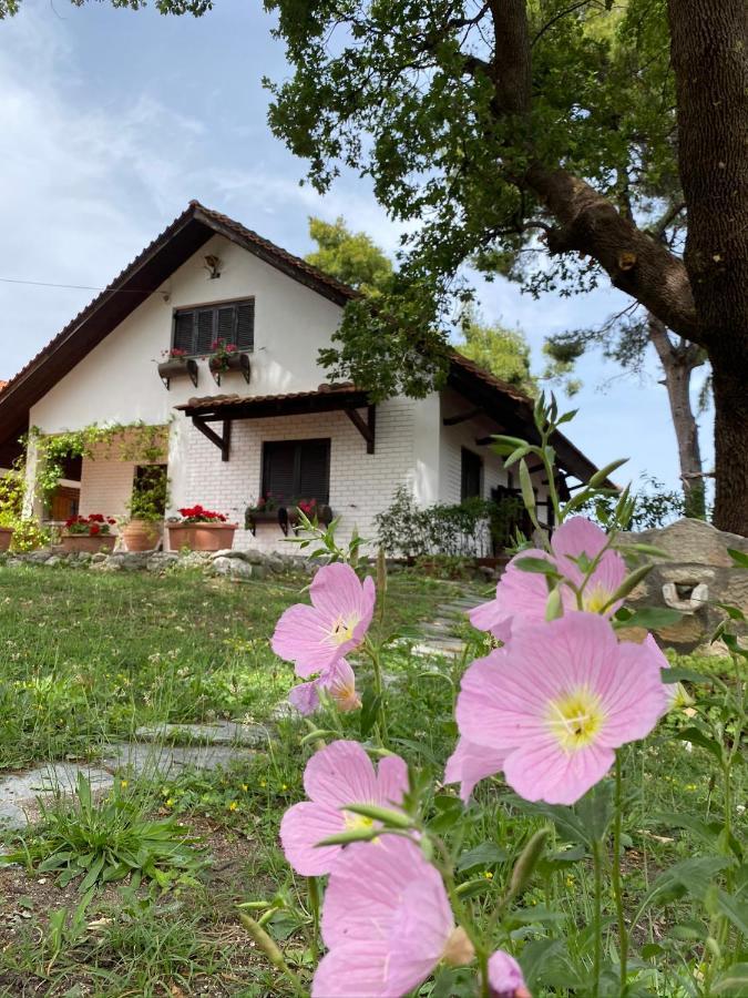 Wild Oaks Cottage Kriopigi Exteriér fotografie